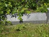 image of grave number 662858